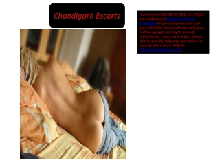 Escorts Services In Chandigarh