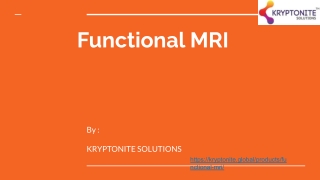 Functional MRI System - Fmri Monitor