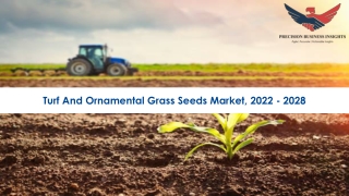 Turf And Ornamental Grass Seeds Market Research Report 2022-2028