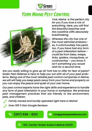 maine pest control  | Residential Pest Control Auburn