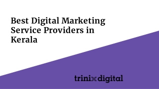 Best Digital Marketing Service Providers in Kerala