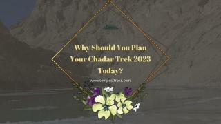 Why Should You Plan Your Chadar Trek 2023 Today