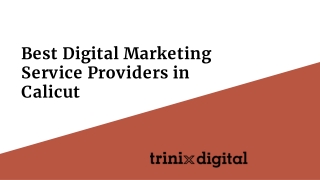 Best Digital Marketing Service Providers in Calicut