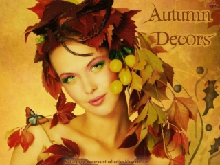 Autumn Decors