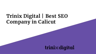 Trinix Digital | Best SEO Company in Calicut