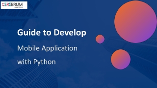 Python App Development