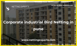 Corporate industrial Bird Netting in pune