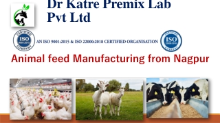 Animal feed Manufacturing from Nagpur