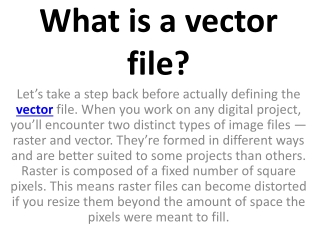 What is a vector file?