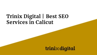 Trinix Digital | Best SEO Services in Calicut