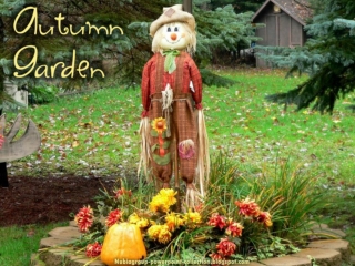 Autumn Garden