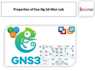 Eve-ng sd-wan Lab