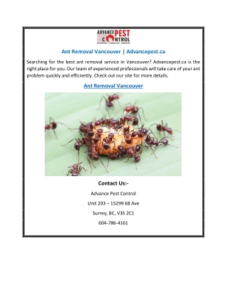 Ant Removal Vancouver | Advancepest.ca