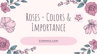 Roses - Colors & Importance