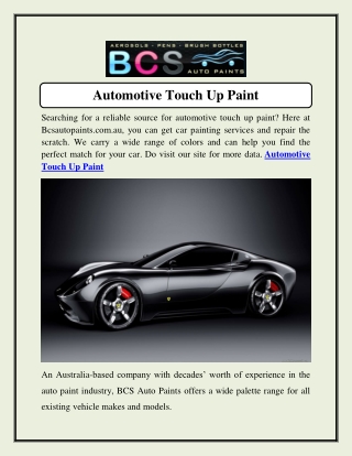 Automotive Touch Up Paint  Bcsautopaints.com