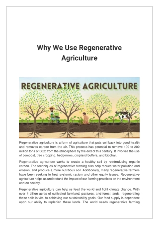 Why We Use Regenerative Agriculture