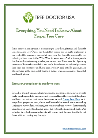 Everything You Need To Know About Proper Tree Care