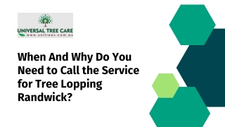 When And Why Do You Need to Call the Service for Tree Lopping Randwick