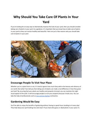 Why Should You Take Care Of Plants In Your Yard.docx