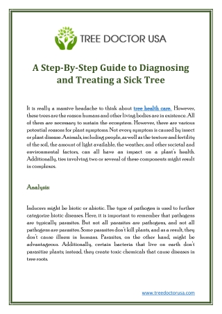 A Step-By-Step Guide to Diagnosing and Treating a Sick Tree