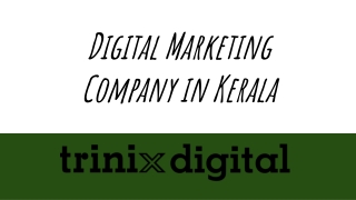 Digital Marketing Company in Kerala
