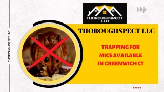 Rodent Seal Home - Thoroughspect LLC