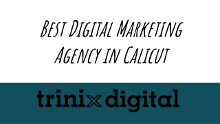 Best Digital Marketing Agency in Calicut