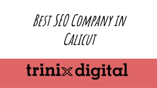 Best SEO Company in Calicut