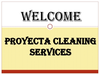 Best Carpet cleaning in Canning Town