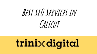 Best SEO Services in Calicut