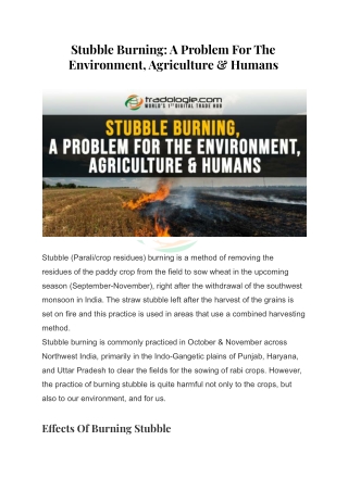 Stubble Burning_ A Problem For The Environment, Agriculture & Humans