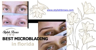 Best Microblading In Florida