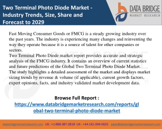 Two Terminal Photo Diode market