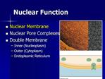 Nuclear Function