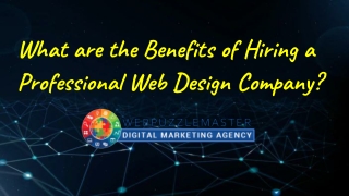 What are the Benefits of Hiring a Professional Web Design Company_