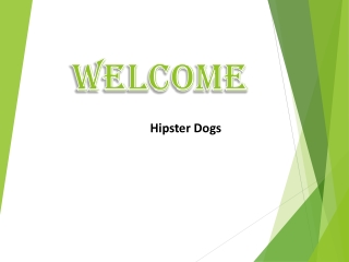 Get the Best service of Dog walkers Near Me in Glen Eden
