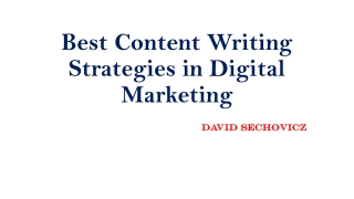Best Content Writing Strategies in Digital Marketing  | David Sechovicz