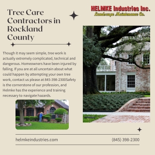 Tree Care Contractors in Rockland County