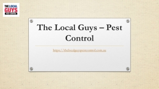 Pest Control Melbourne Eastern Suburbs | Thelocalguyspestcontrol.com.au