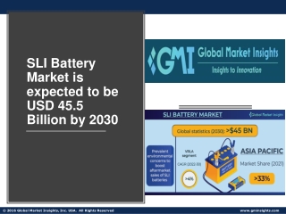 SLI Battery Market Top Trends, Future Analysis & Forecast 2022- 2030