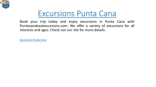 Excursions Punta Cana  Puntacanabestexcursions.com