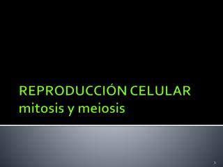 REPRODUCCIÓN CELULAR mitosis y meiosis