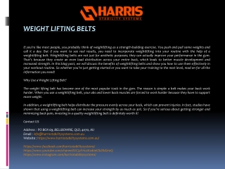 Weight Lifting Belts