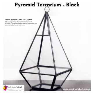 Pyramid Terrarium - Black
