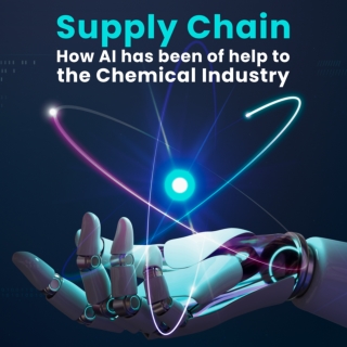 Kaushik Palicha - Chemical Supply Chain