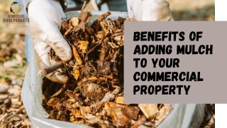 Benefits of adding mulch to your commercial property