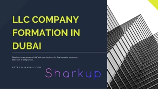 LLC Company Formation in Dubai
