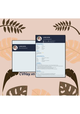 CVHay_Chuyên viên Kinh doanh hàng Air