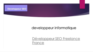 Développeur Seo Freelance Français | Développeur-informatique.com