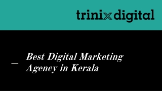 Best Digital Marketing Agency in Kerala